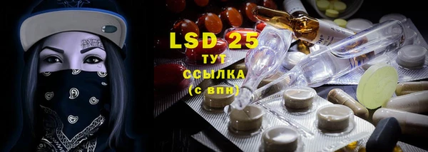гидропоника Алзамай