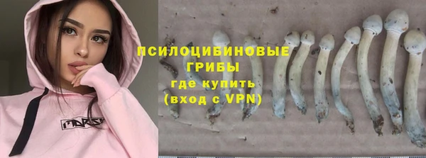 гидропоника Алзамай
