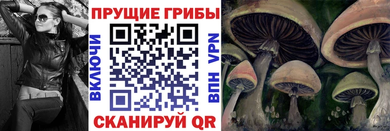 Псилоцибиновые грибы мухоморы  Богородицк 