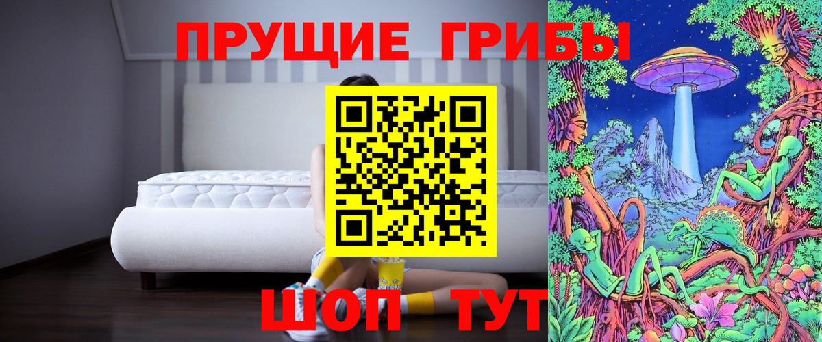 Богородицк  Псилоцибиновые грибы мицелий  Вход с VPN  Галлюциногенные грибы прущие грибы 
