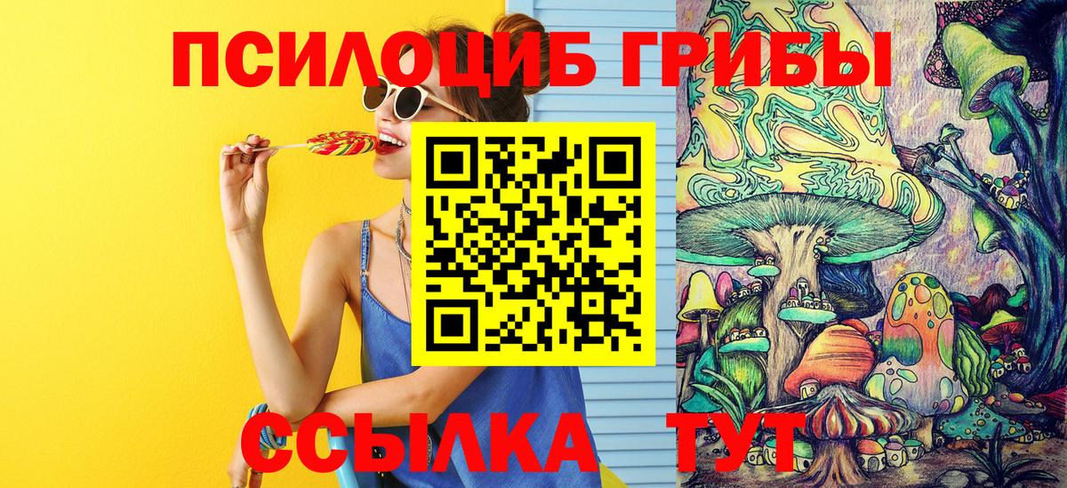 Псилоцибиновые грибы Magic Shrooms Богородицк